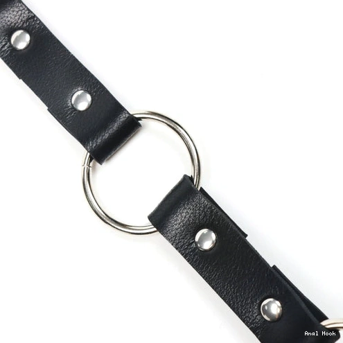 EverydayUse Anal with 5853 Kinky Collar Leash and Hook 0802